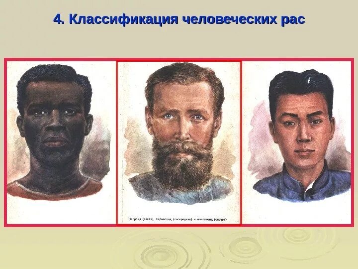 Расы человека задания. Расовые классификации. Человеческие расы. Классификация рас. Современные расы человека.