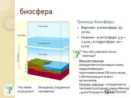 Литосфера распространяется до глубины