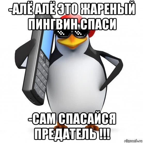 Алло по лбу. Мемы с пингвинами. Пингвин Мем. Алло Наташа. Пингвин Мем с днем рождения.