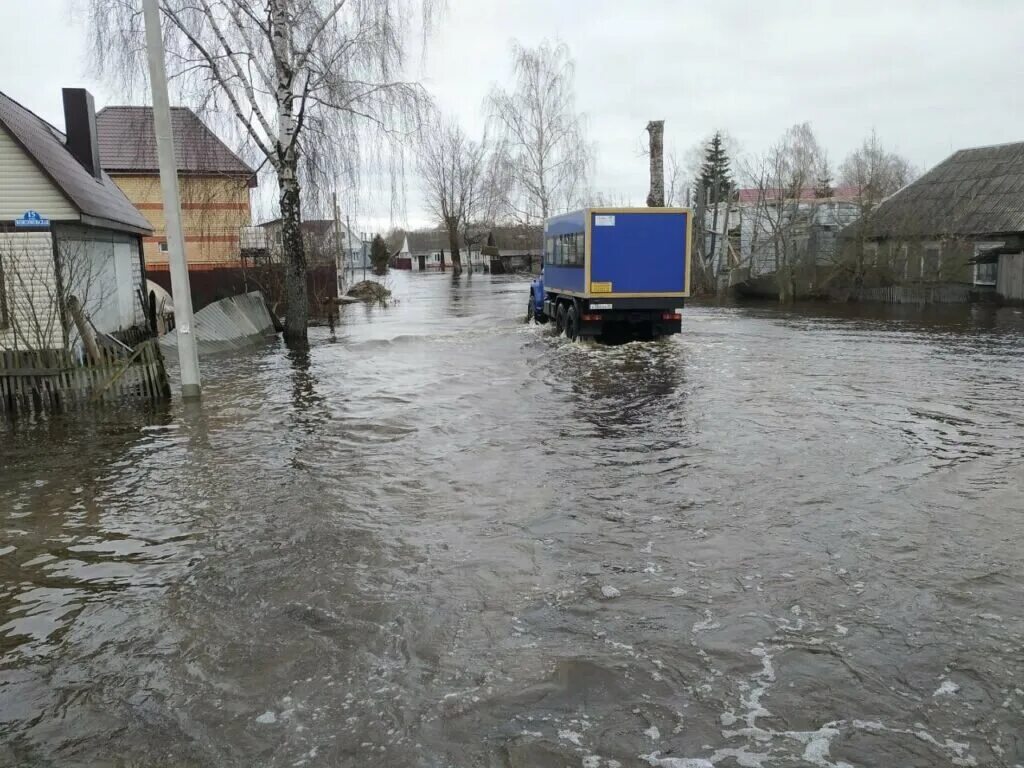 Паводок радица крыловка брянск 2024