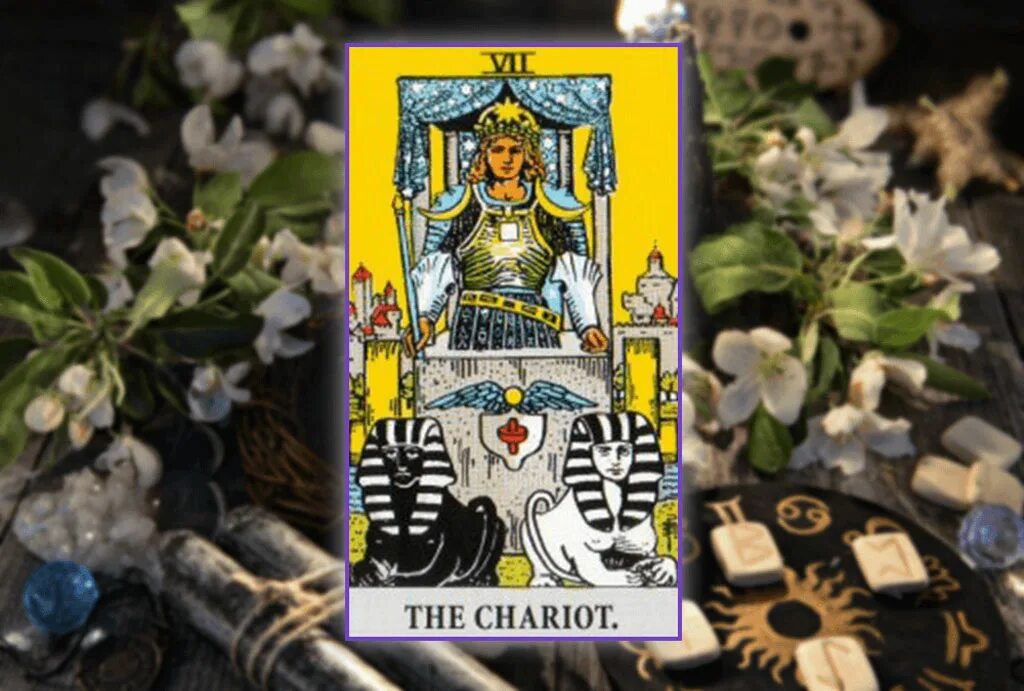 старший аркан отшельник. The hermit карта таро. отшельник колесница таро. отшельник колесница таро. колесница судьбы таро.