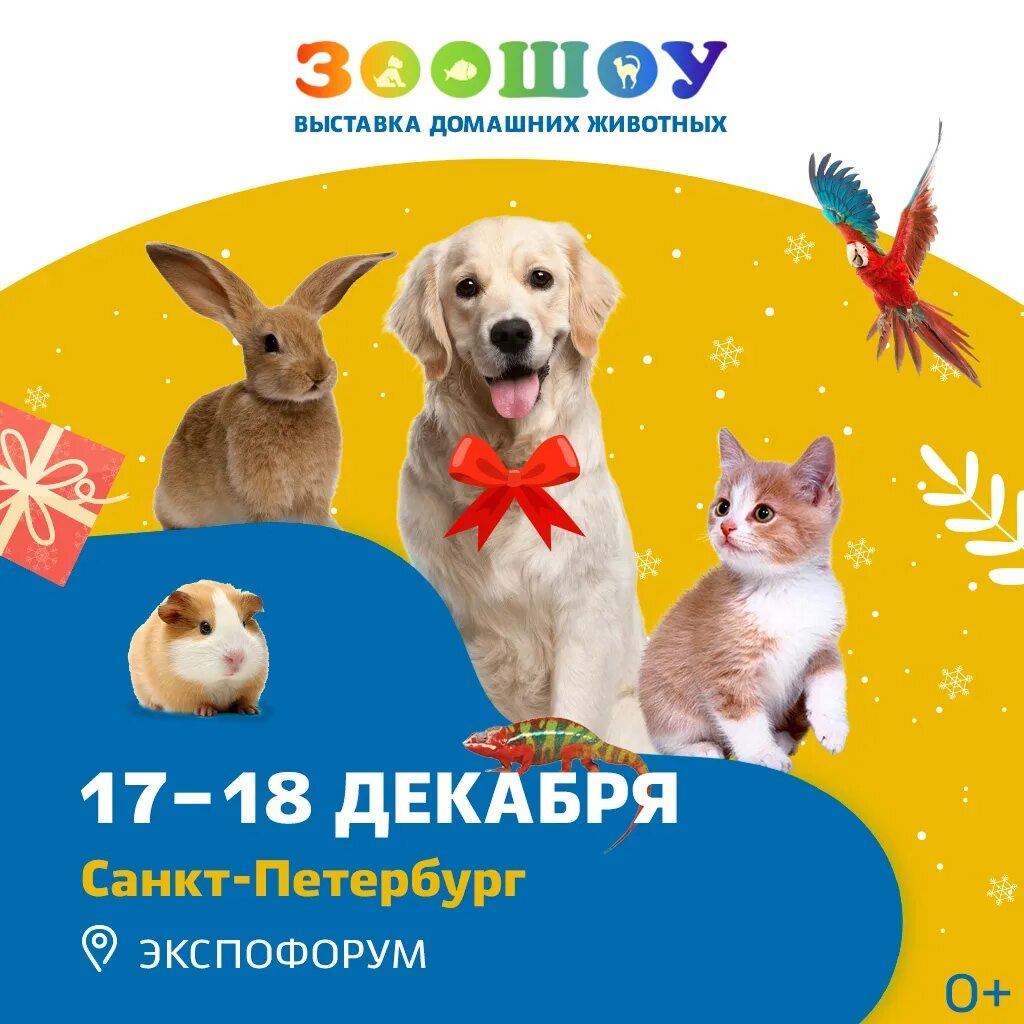 Зоошоу экспофорум. Выставка домашних животных. Зоошоу ЭКСПОФОРУМ 2022. Выставка Зоошоу в Экспофоруме 2024.