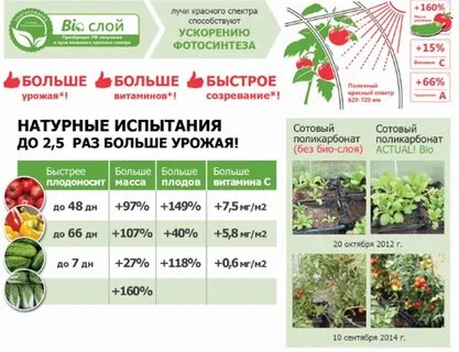 Био поликарбоната
