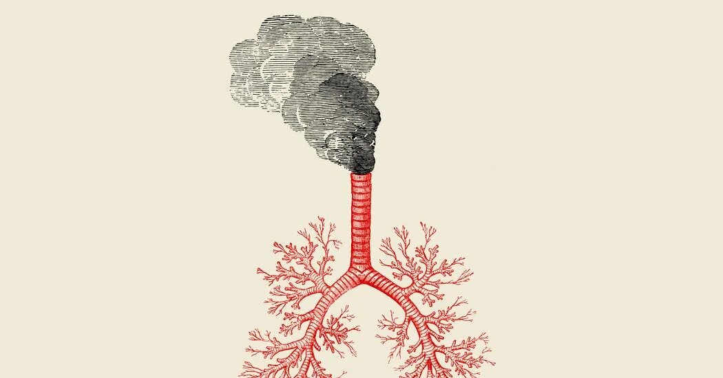Pollution is us all. Загрязнение атмосферы эстетика. natural air pollution. burning fossil fuels. save the forest from air pollution.