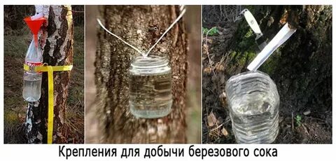 Добудь сок