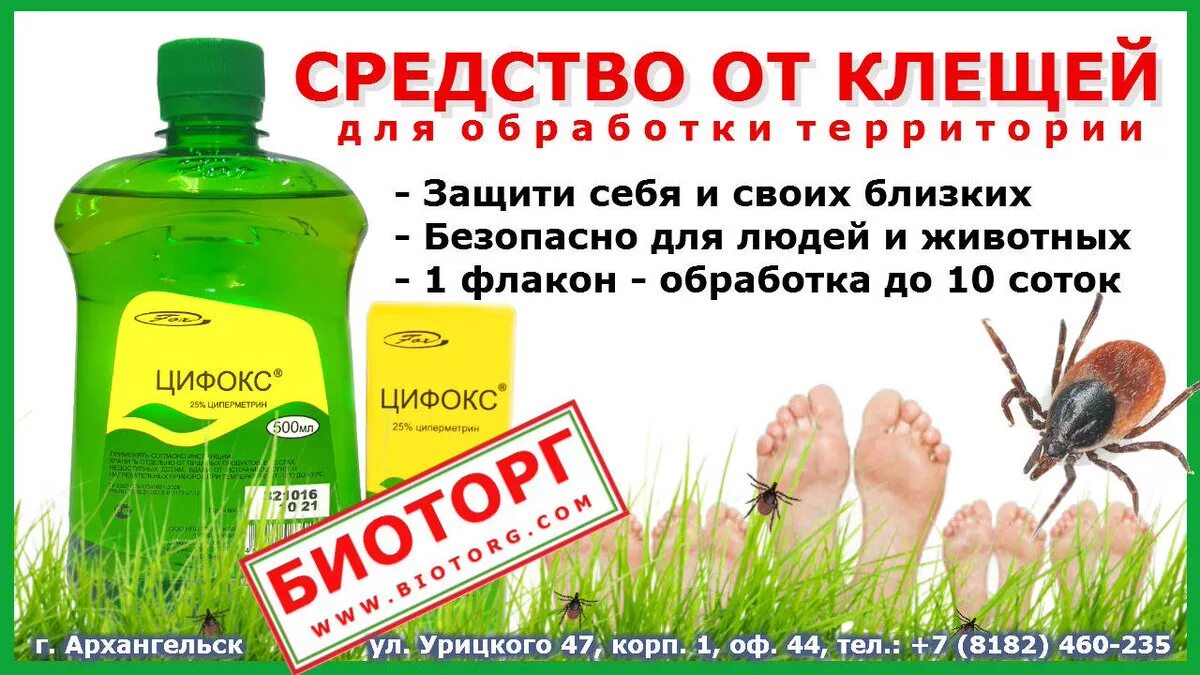 Обработка от клещей своими руками. Обработка от клеща препарат. средство от клещей для обработки участка. средство от клеща на территории. обработка сада от клещей препараты.