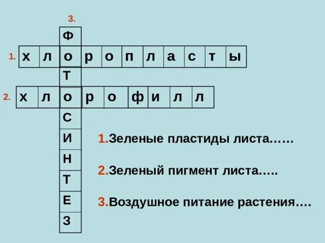 Кроссворд фотосинтез 6 класс с ответами. Фотосинтез кроссворд 6 класс биология. Кроссворд на тему воздушное питание растений фотосинтез 6 класс. Биология 6 класс кроссворд на тему фотосинтез. Вопросы по теме фотосинтез.