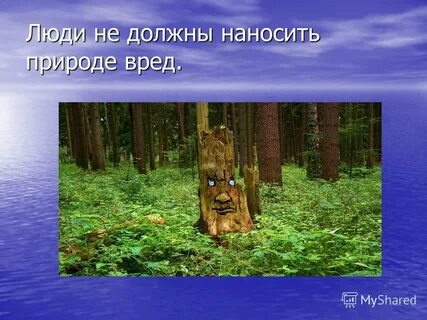 Какой вред наносят деревьям