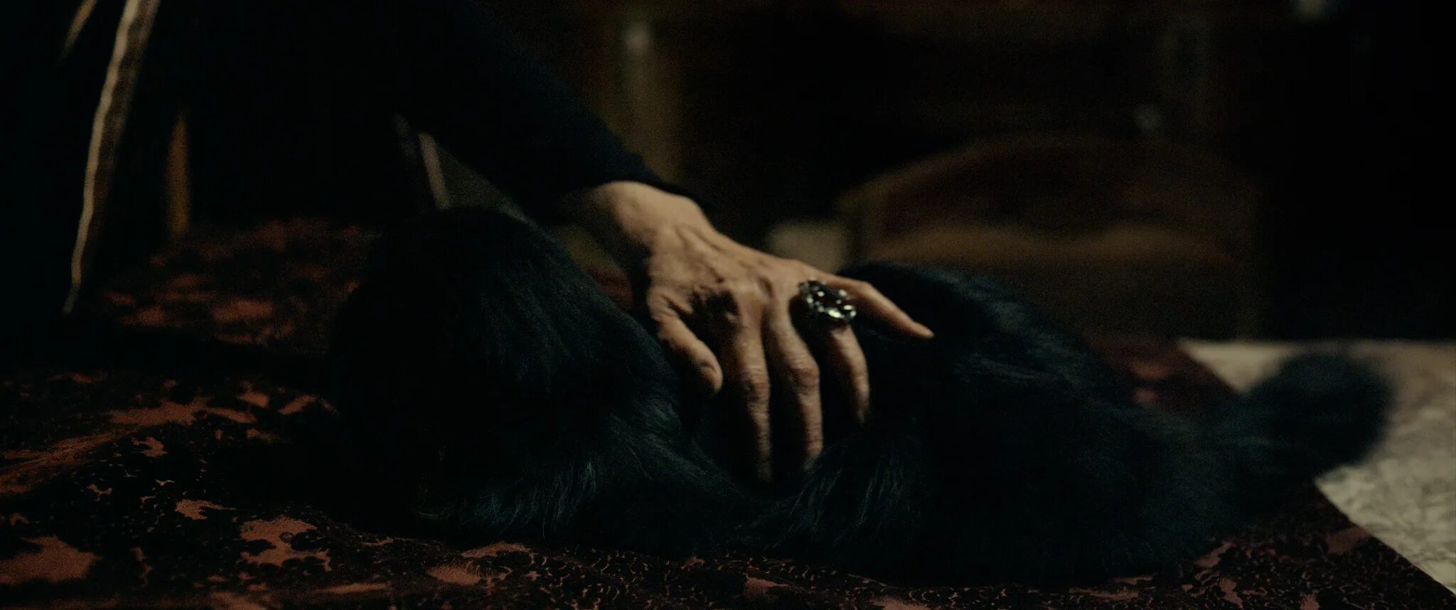 Ночное небо с луной. Готэм сити архитектура. Темное болото. Сказочный лес ночью. Темные ночи 3 д.