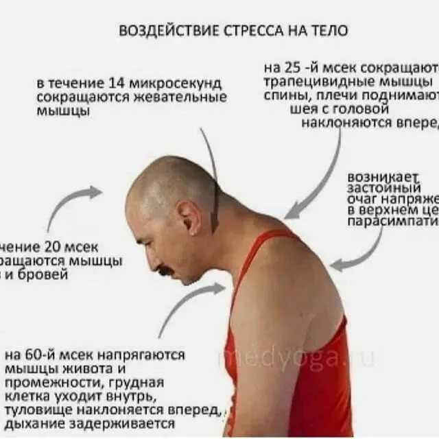 Как быть постоянно в теле