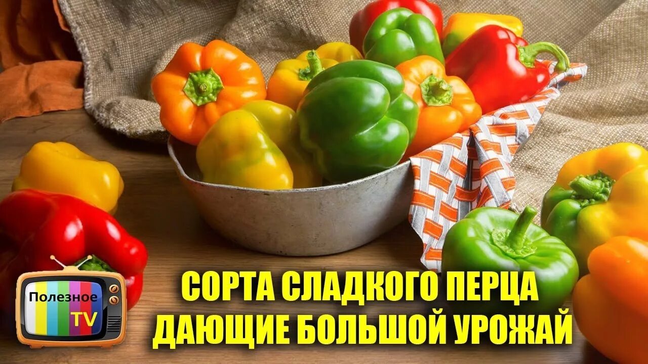 Перец красный сладкий. Есть болгарский перец. Сладкий болгарский перец. Перец болгарский красный. Какого цвета бывает болгарский перец.