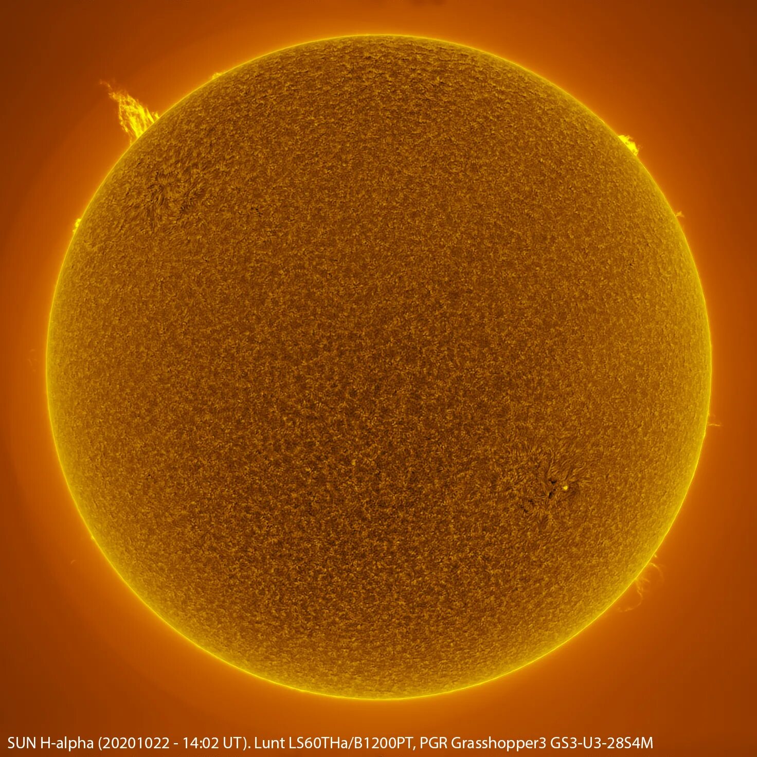 New sun 3. Солнце картинка. Снимок солнца. Солнце красиво. Поверхность солнца.