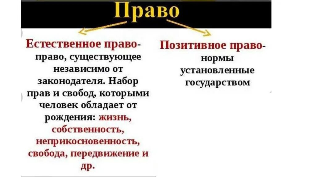 Позитивное право и естественное право различия