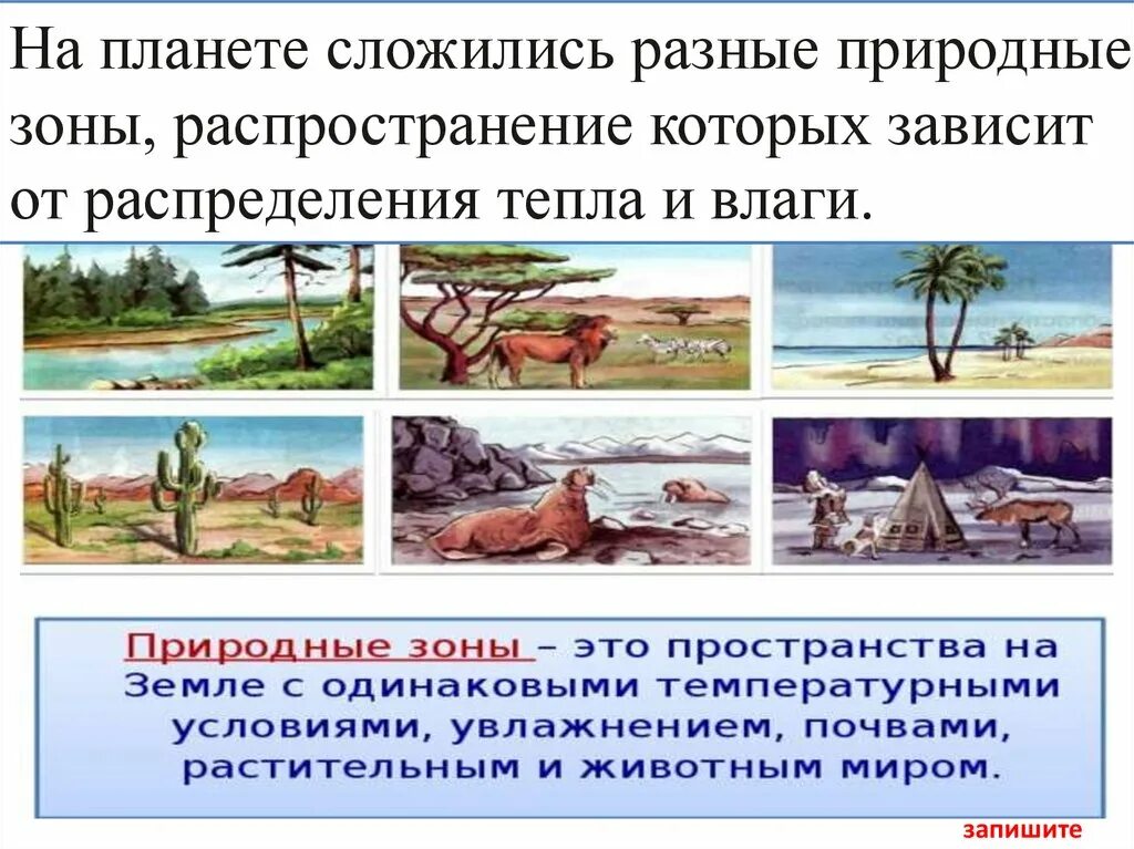 Природная зона презентация 7 класс. Слайд природные зоны земли. Природные зоны земли доклад. Конспект урока природные зоны земли. Природные зоны земли 6 класс география.