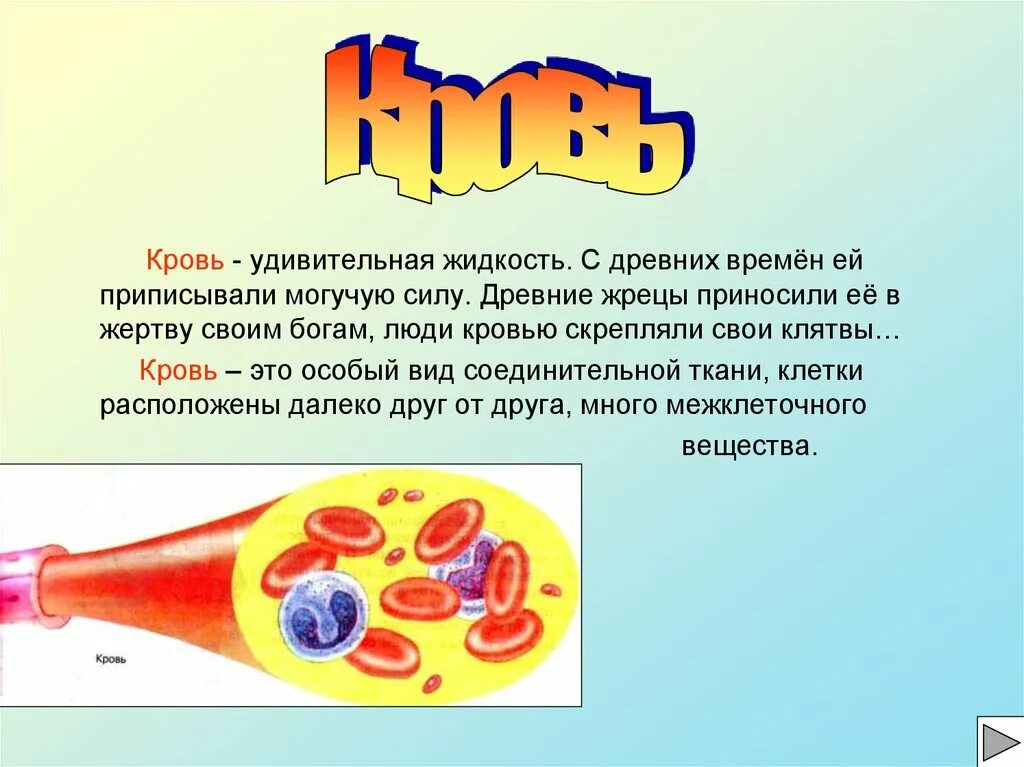 Кровь окружающий мир. Строение крови. Кровь биология. Презентация на тему кровь.