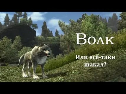 Клан волка аудиокнига 3
