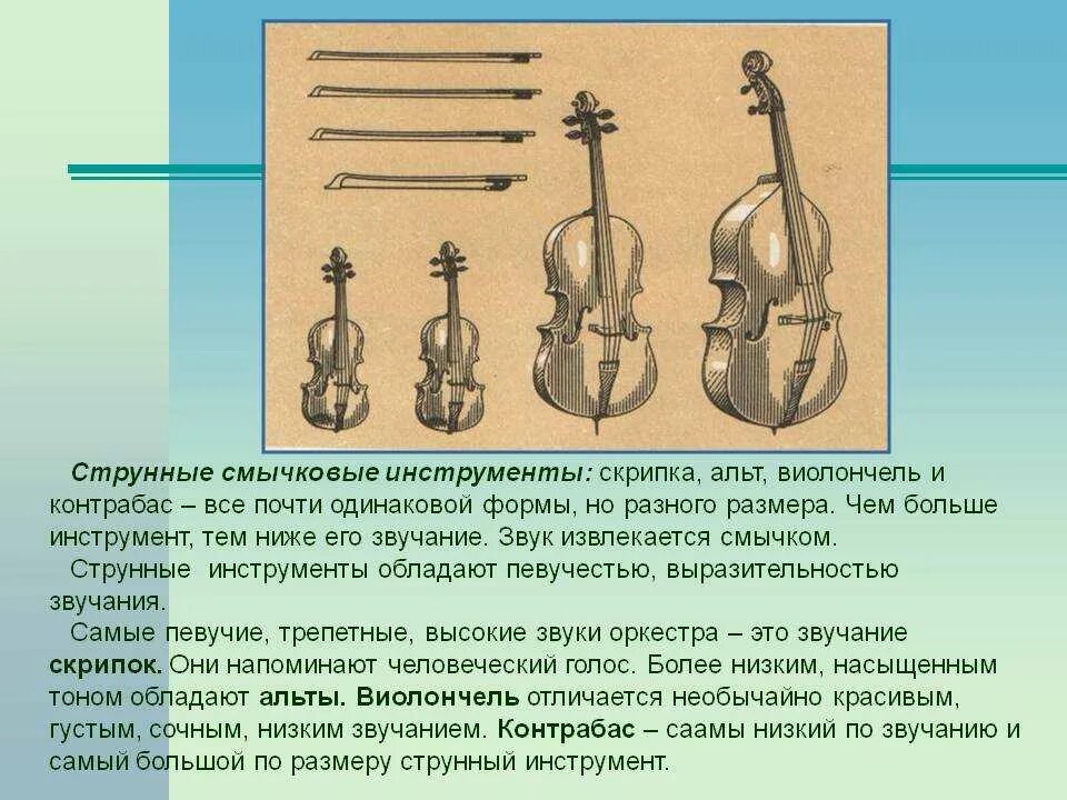 Скрипка струнно смычковый инструмент. Струнно-смычковые инструменты симфонического оркестра скрипка. Струнно смычковые инструменты симфонического оркестра контрабас. Струнно смычковые инструменты доклад Альт.