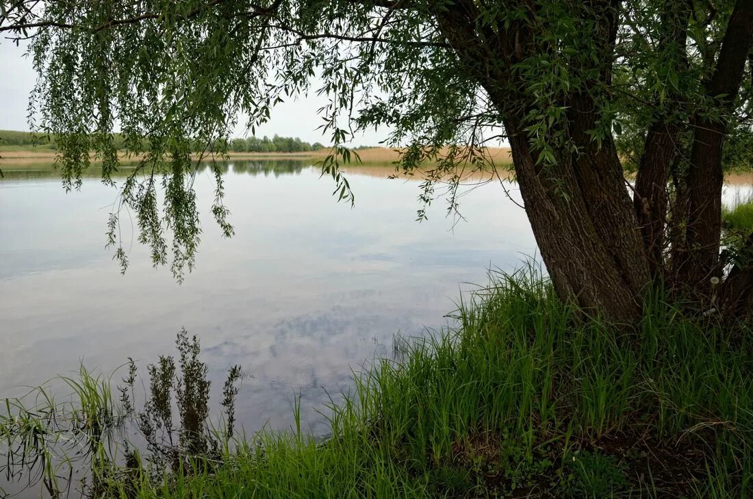 Прогноз погоды селивановка. Селивановка озеро. Селивановка.