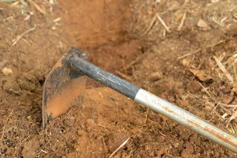 Dig too