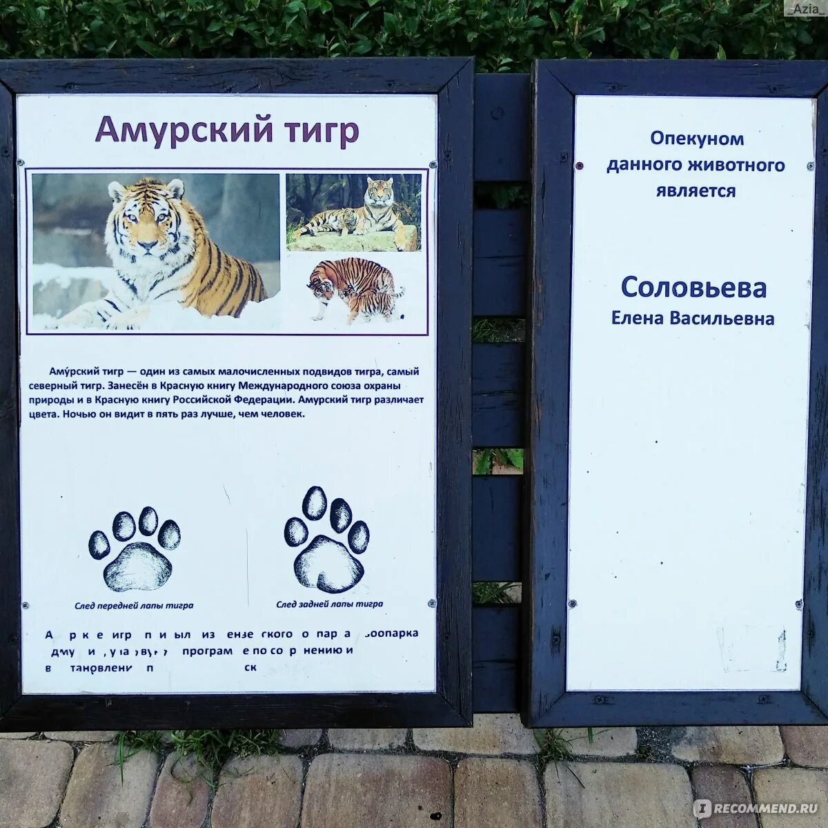 Опекун животных. Животные белгородского зоопарка список. белгородский зоопарк. опекун в зоопарке. московский зоопарк опекуны.