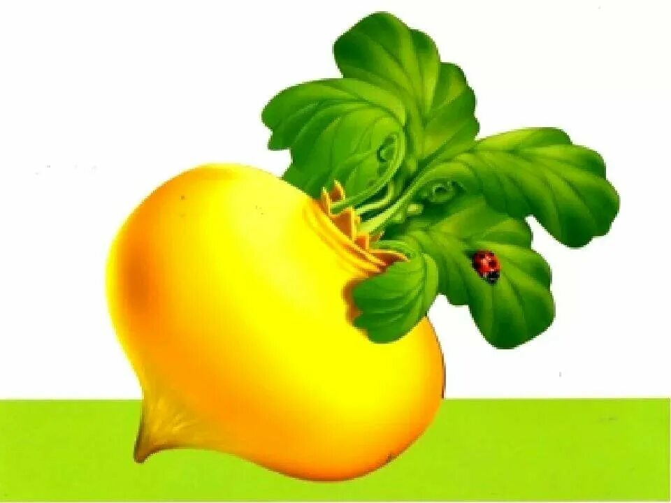 Картинка репки