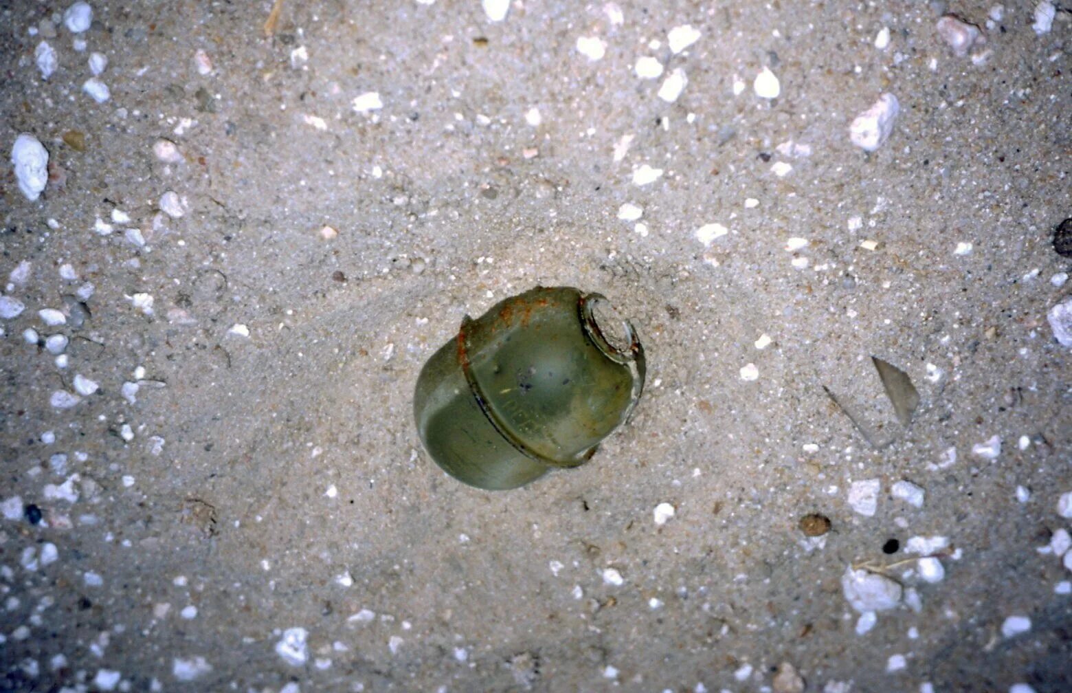 Находки в огороде ленобласть. Граната ф1 в земле. Неразорвавшийся снаряд града. Граната снаряд. Находки новгородской области.