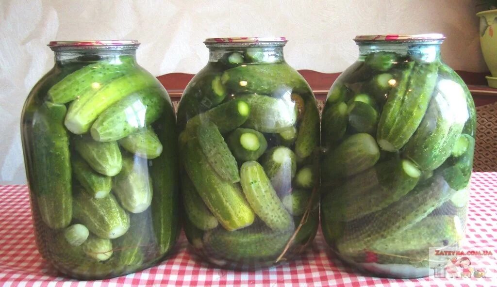 Маринованные огурцов на зиму хрустящие. Огурцы закатка. закрутка огурцов на зиму. закатать маринованные огурцы. закатка огурцов на зиму в 3-х банки.