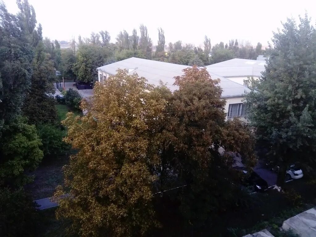 Судебный участок 7 волгодонского судебного. Судебный участок 7 волгодонского судебного. Судебный участок 7 волгодонского судебного. Судебный участок 7 волгодонского судебного. Ул морская 108а волгодонск.
