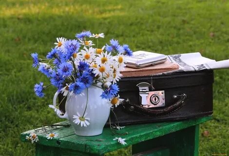 Цветы вчера днем