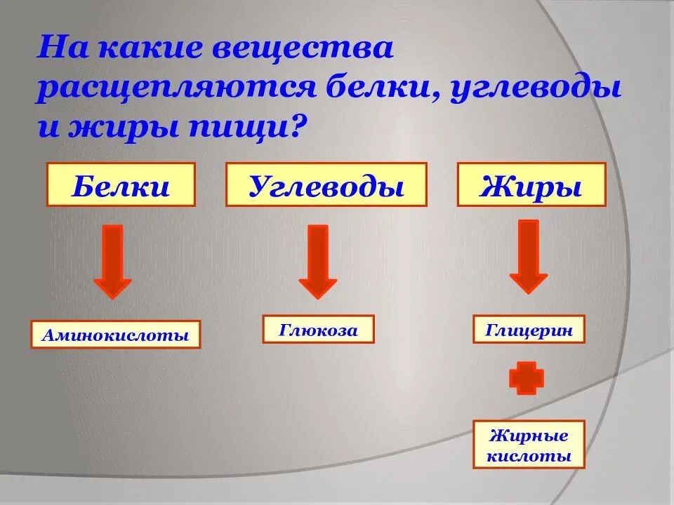 Какие вещества кроме жира могут быть источником. Во что превращаются жиры и углеводы в организме. Превращение белков жиров и углеводов в организме. Превращение белков в жиры. Во что превращаются белки жиры и углеводы.