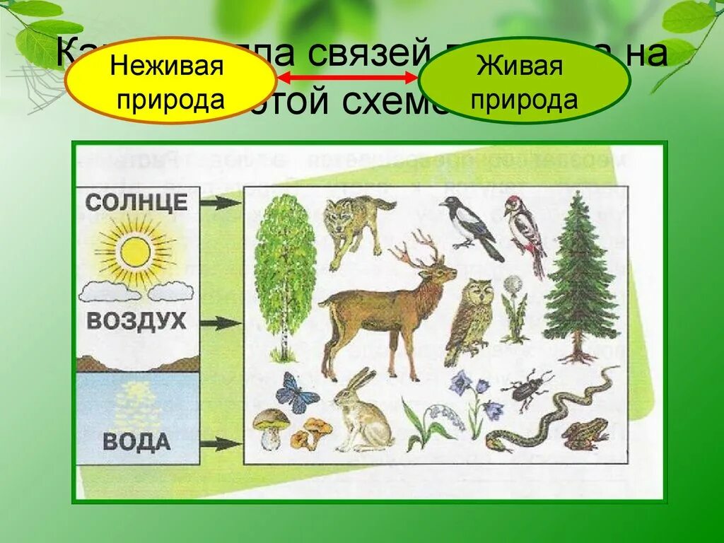 Схема связи живой и неживой природы 2 класс окружающий мир. Связь Живая и неживая природа 2 класс невидимые нити в. Как связаны между собой неживая и Живая природа. Невидимые нити схема.