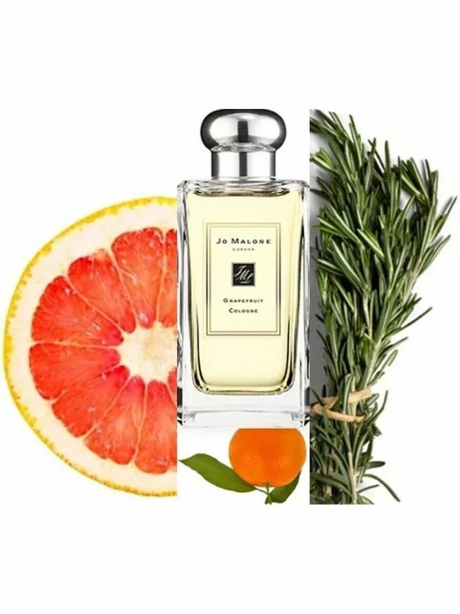 Духи pink grapefruit. Духи с ароматом грейпфрута женские. Туалетная вода с запахом апельсина. Ароматы духов с грейпфрутом. Духи с ароматом грейпфрута.