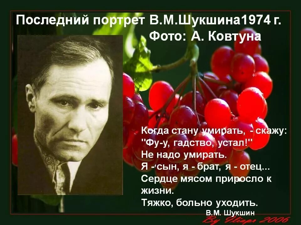 Кто занимался воспитанием писателя шукшина. Калина красная Василия Шукшина. Шукшин в.м. "Калина красная".