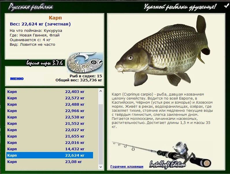 карп сколько кг. размер карпа по годам. вес среднего карпа. 5 кг. карп сколько кг.