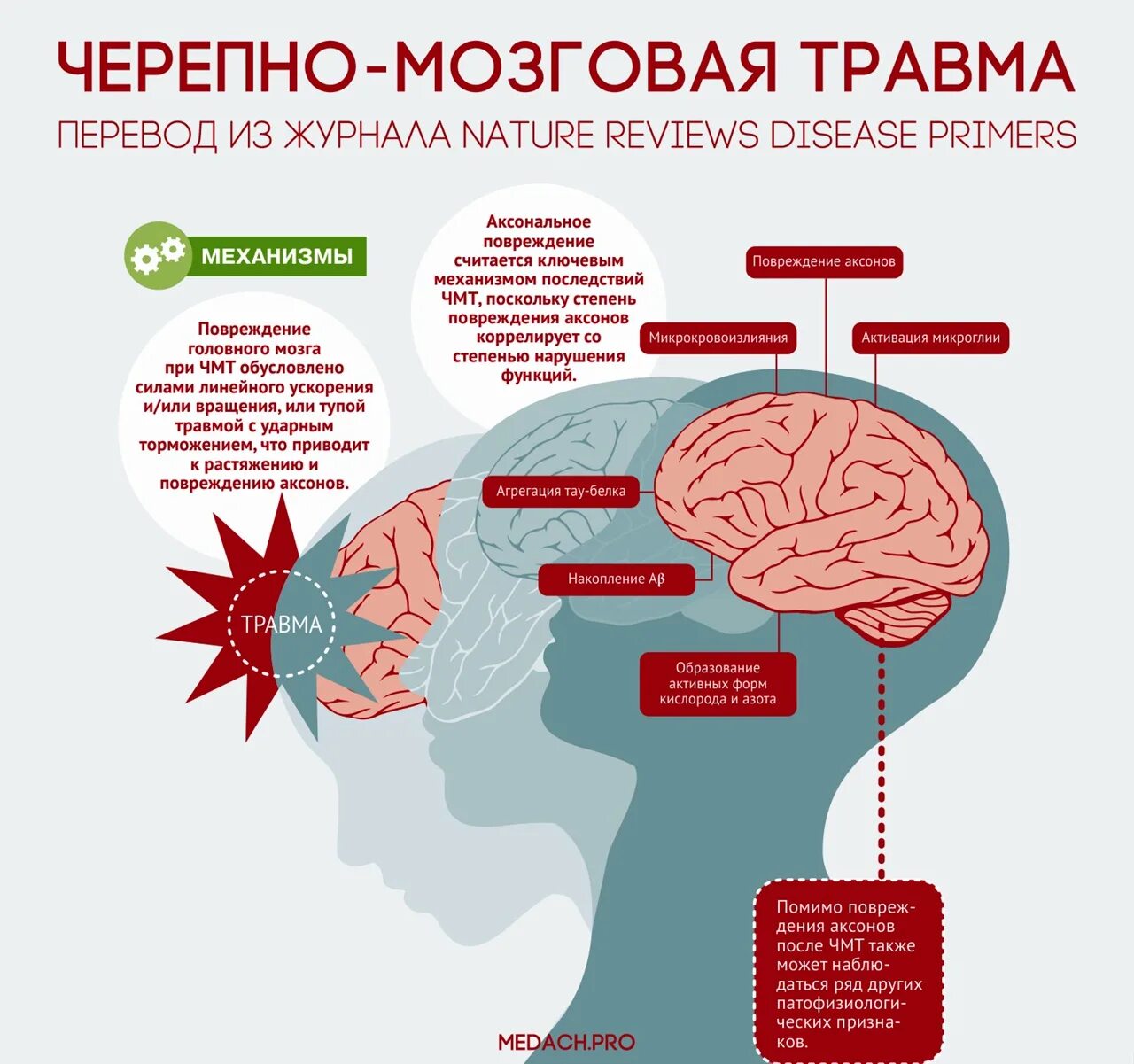 Сотрясение врач. Сеоепно мозгоапя Травиа. Черепно мозговая травма памятка. Профилактика ЧМТ памятка. Профилактика травм головного мозга.