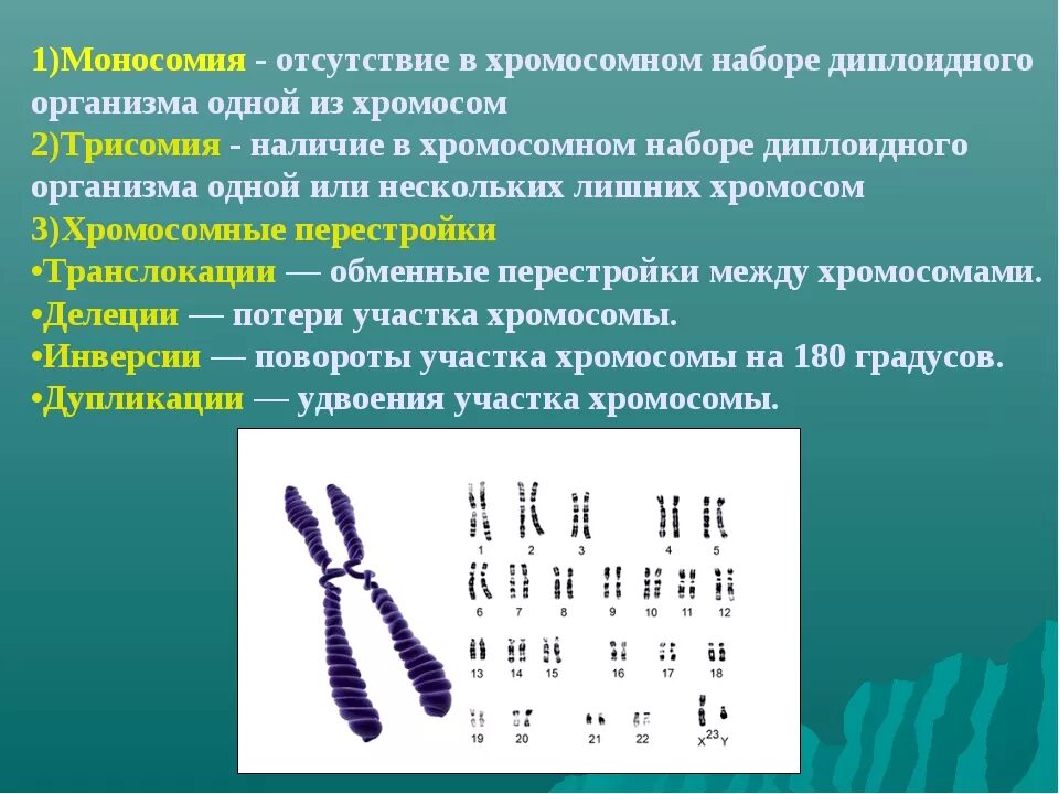 Хромосомный набор. Наличие лишней хромосомы. Типы хромосом в кариотипе человека. Изменение числа отдельных хромосом