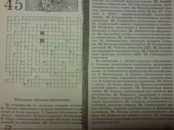 Кроссворд клеточное строение листа. Кроссворд клеточное строение листа