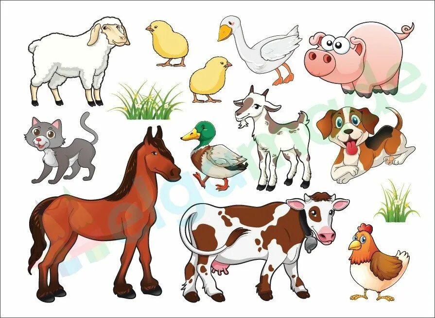 Домашние животные 6 класс. Larsen fh23 - животные фермы. Домашние животные для детей. Малыши. Домашние животные. Домашние животные для дошкольников.