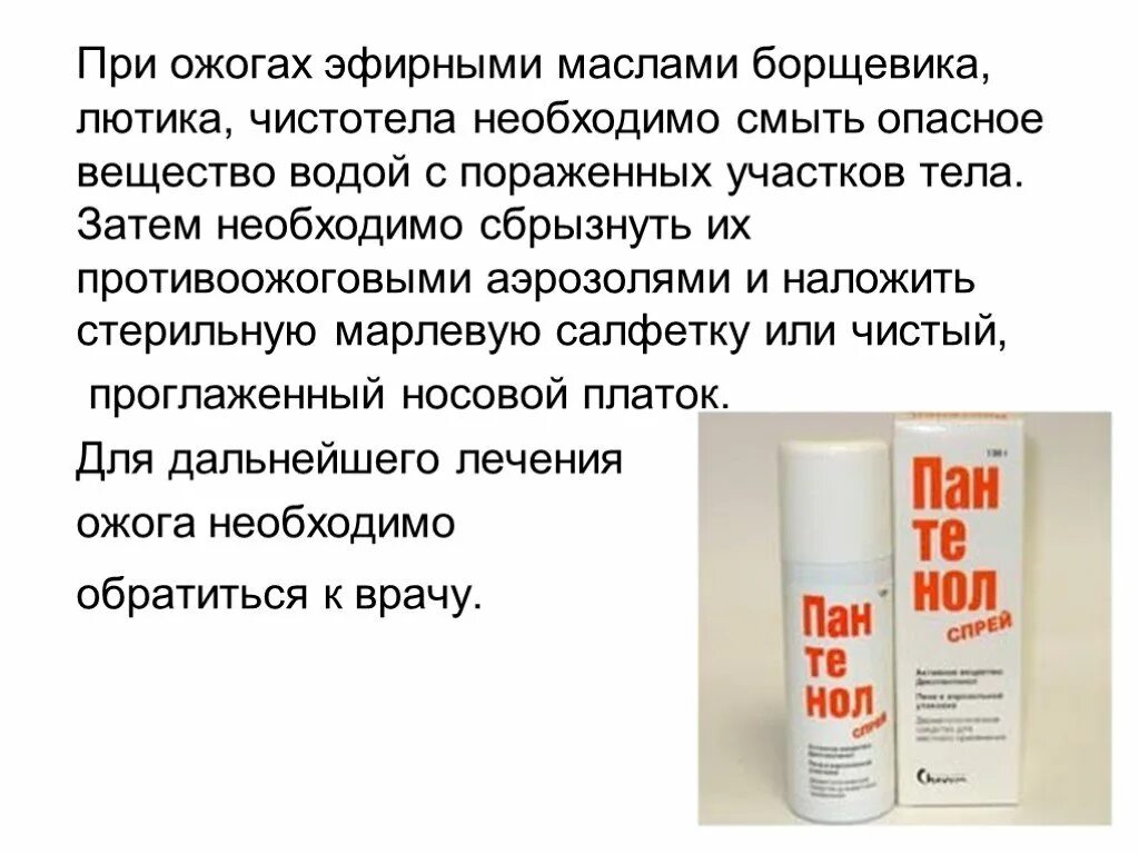 Эффективное лечение ожогов. Чем лечить ожог от борщевика. Борщевик ожоги чем лечить. Средство от ожога борщевиком.