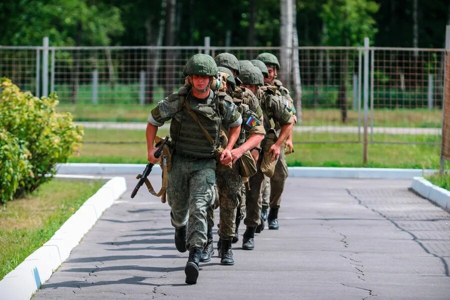 Барс боевой армейский. Боевой армейский резерв специальный барс. барс министерство обороны. армейский резерв барс 2025. резерв армии.