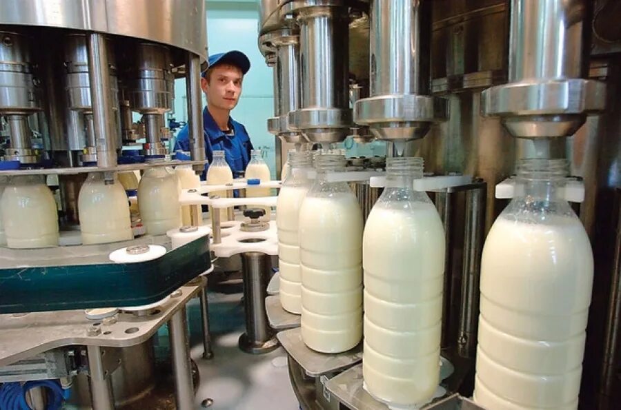 Молочный завод производство. АО Зеленодольский молочноперерабатывающий комбинат. Евпаторийский молокозавод. Цех молочной продукции. Молочная промышленность.