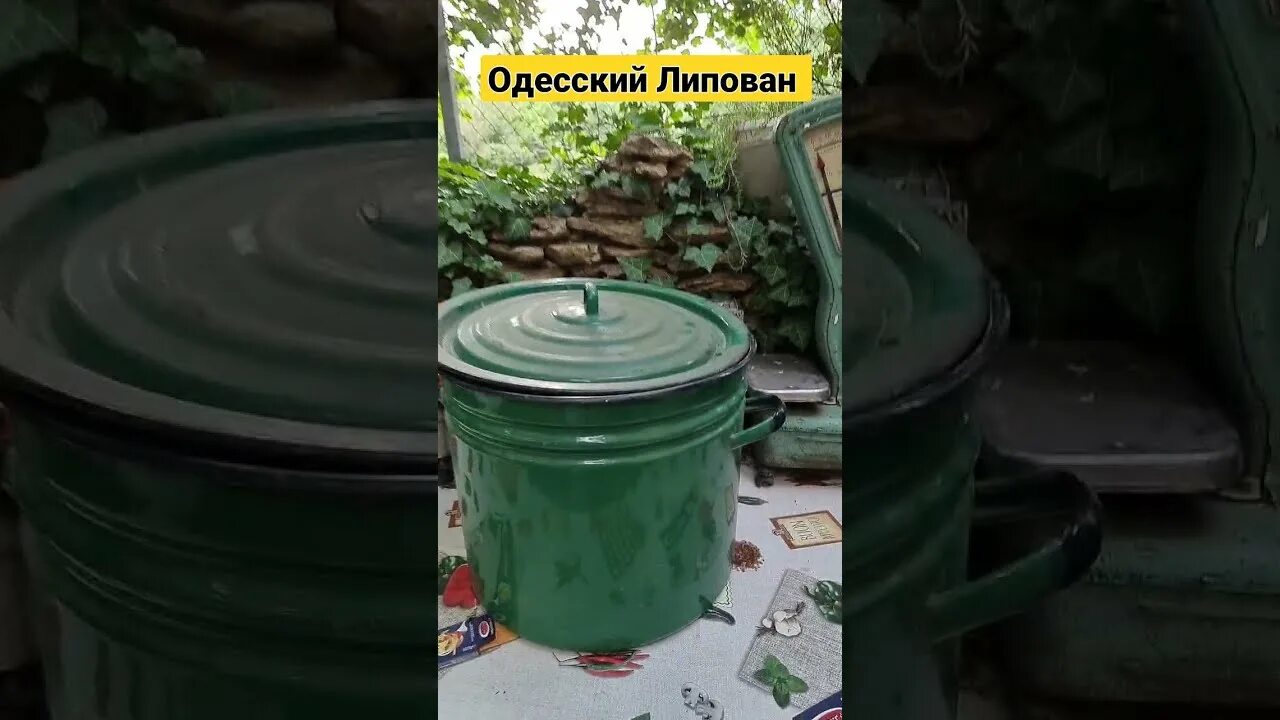 Новое видео одесского липована. Одесса липован. Одесский липован оператор. Одесский липован фото. Одесский липован ютьюб.