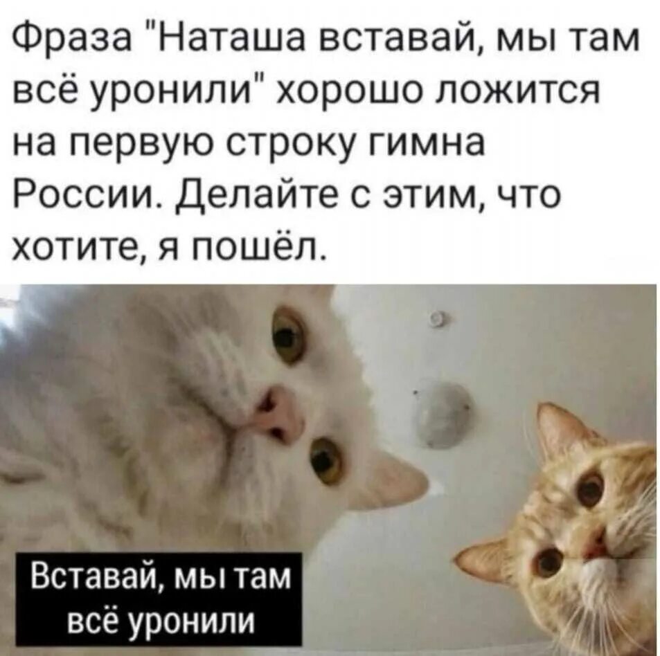 Отлично легла фото