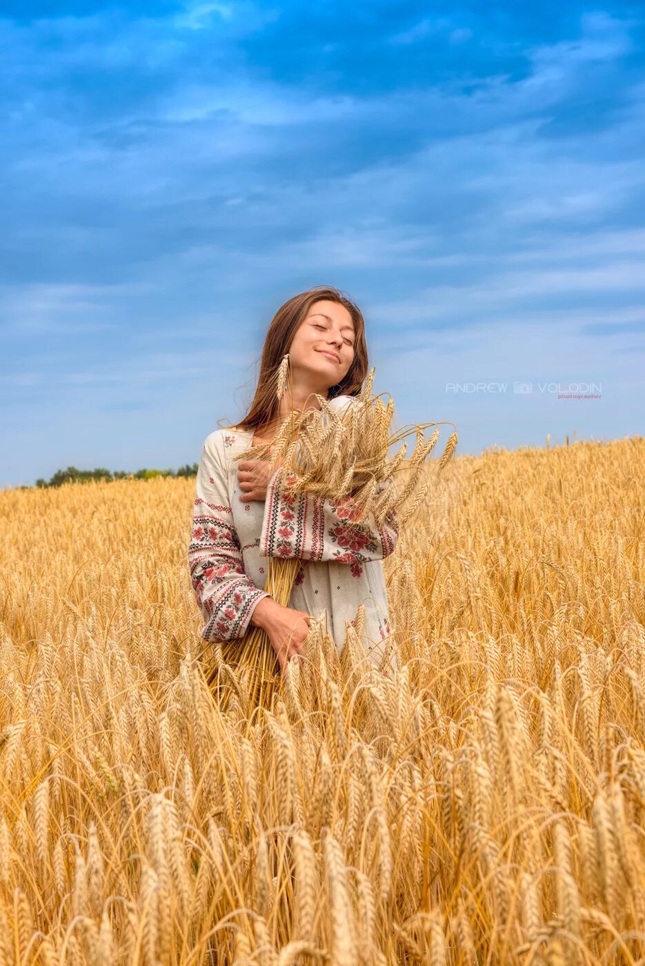 Девушка в поле. Фотосессия в поле. Девушка в поле пшеницы. Фотосессия в пшеничном поле девушка.