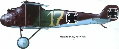 S d ii