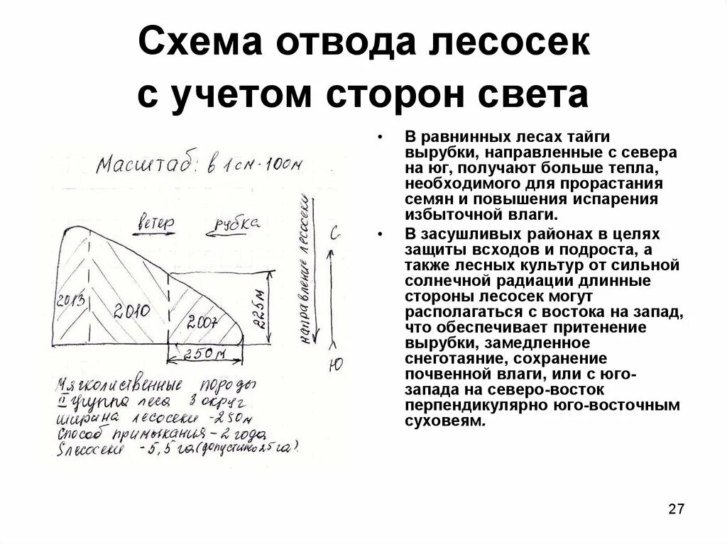 Установление и обозначение границ лесосек. Абрис лесосеки схема. схема отвода лесосеки. абрис отвода делянки. отвод делянок.