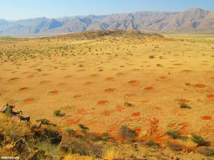 Кругом было пустынно. Ведьмины круги пустыни Намиб. Круги пустыни Намиб. Пустыня Намиб загадочные круги. Волшебные круги Намибии.