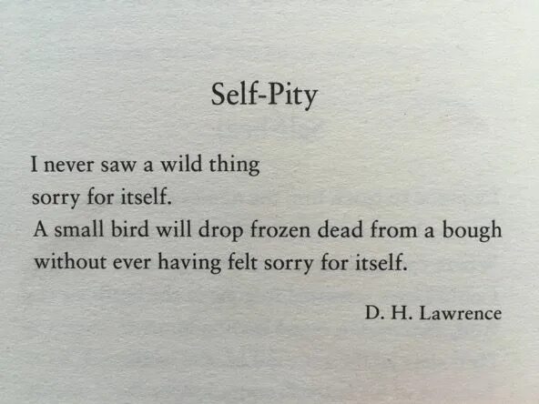 It s a pity перевод. Self Pity Lawrence. Self-Pity стихотворение. Self Pity стих. Pity синонимы.