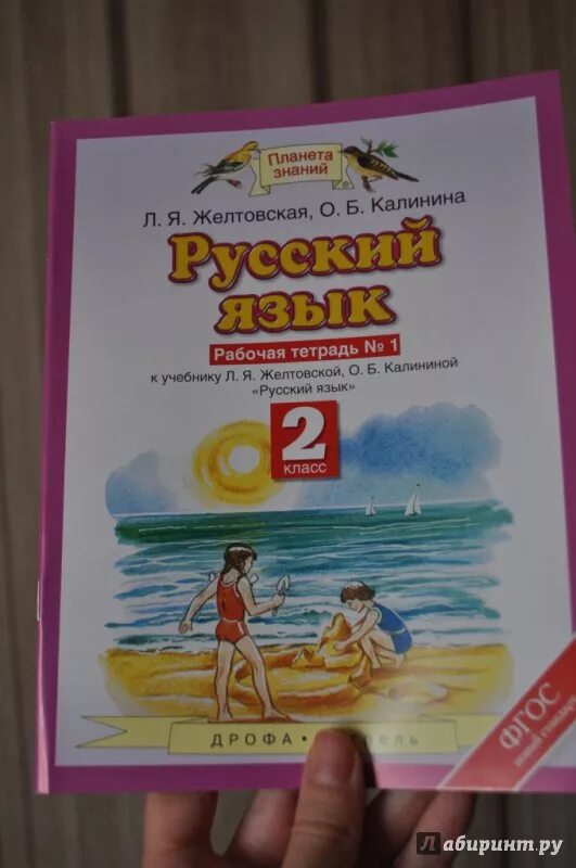 Русский язык тетрадь 2 класс Желтовская Калинина 1 часть. Планета знаний русский язык 2 Калинина. Русский язык 4 класс русский язык Желтовская Калинина 2 часть. Рабочая тетрадь 2 класс Желтовская Калинина 2 русский язык. Л я желтовская о б тетрадь