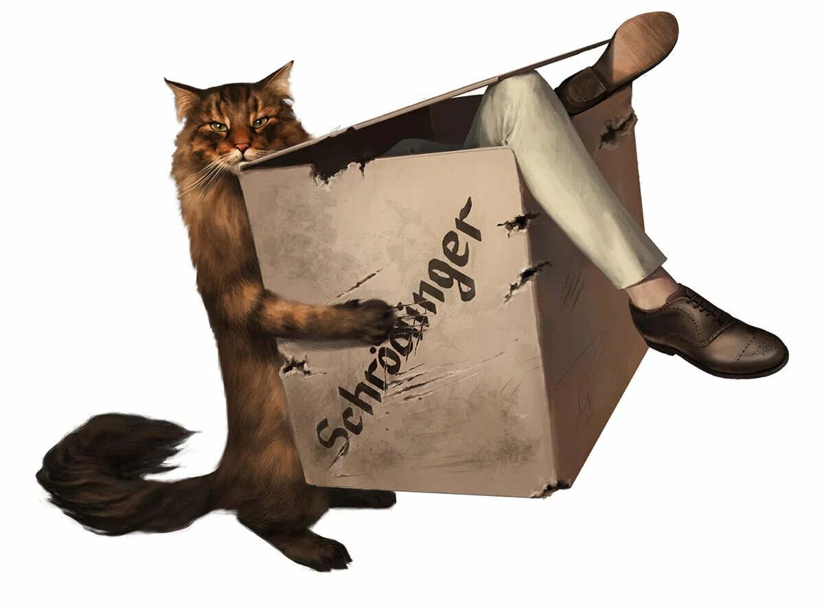 File:Schrodinger cat in box.jpg - Wikipedia